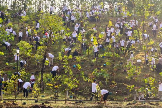 Semarak HUT ke 80 Republik Indonesia 2 550